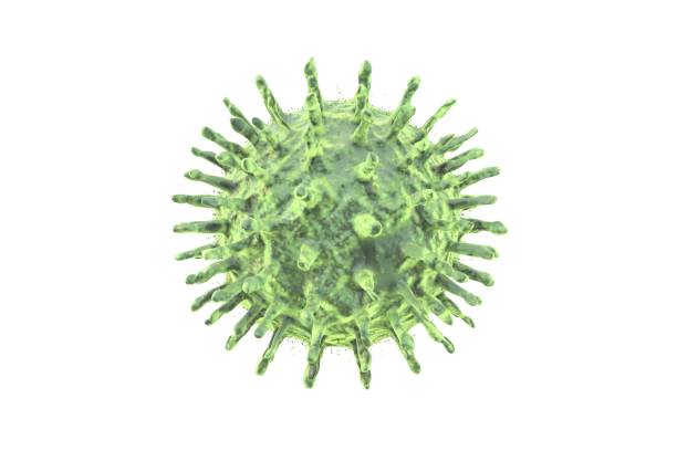 coronavirus 2023 - coronavirus in uk which city